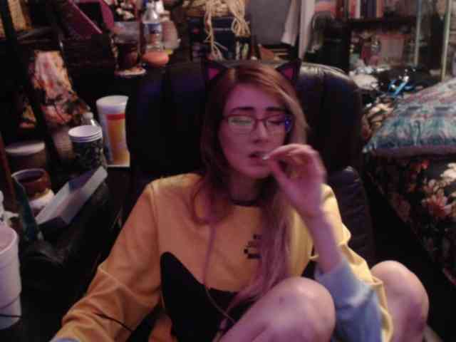 pussyxpaladin webcam