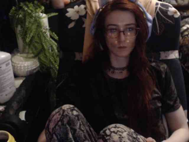 pussyxpaladin webcam