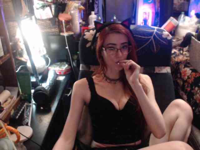pussyxpaladin