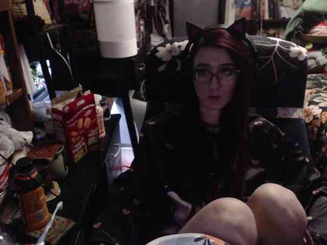 pussyxpaladin webcam
