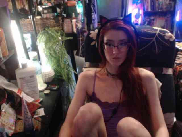 pussyxpaladin webcam