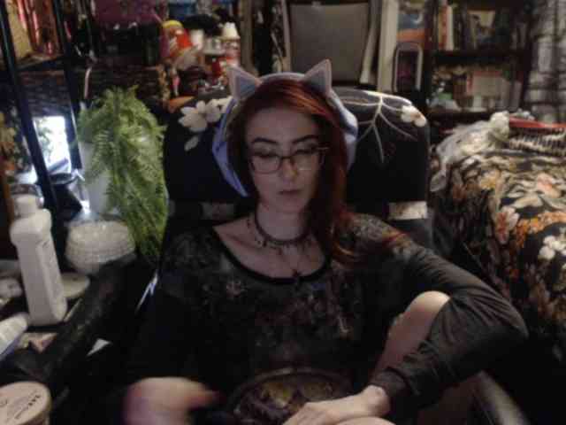 pussyxpaladin