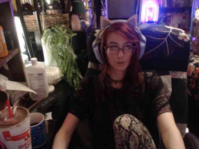 pussyxpaladin webcam