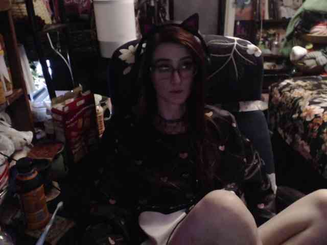 pussyxpaladin webcam