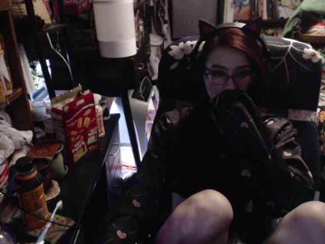 pussyxpaladin webcam