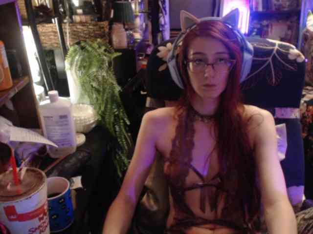 pussyxpaladin webcam
