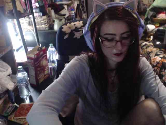 pussyxpaladin webcam