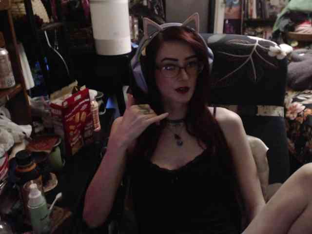 pussyxpaladin webcam