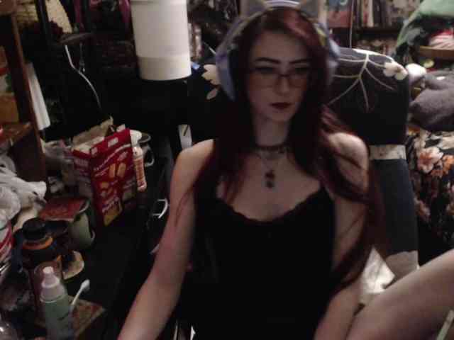 pussyxpaladin webcam