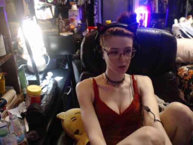 pussyxpaladin