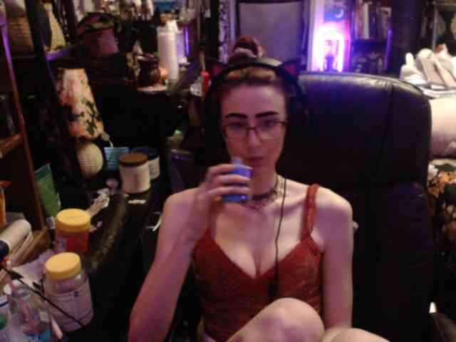 pussyxpaladin