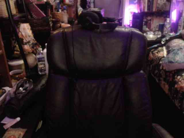 pussyxpaladin webcam