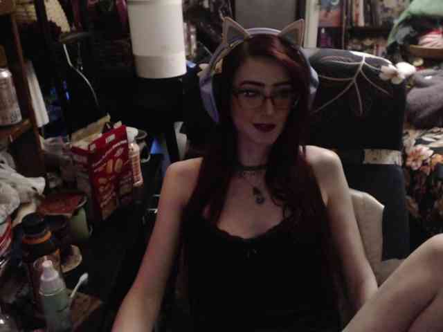 pussyxpaladin webcam