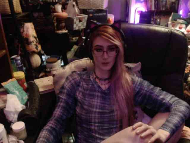 pussyxpaladin Live Webcam on BongaCams