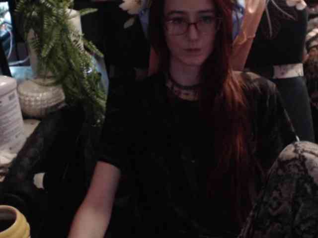pussyxpaladin