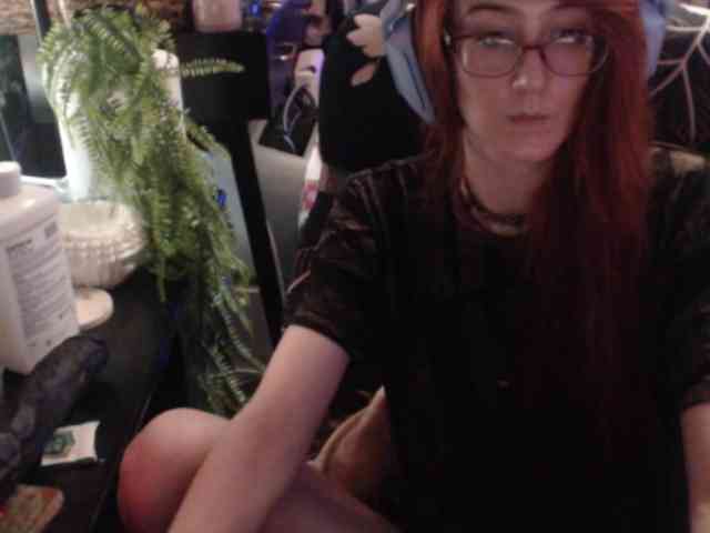 pussyxpaladin webcam