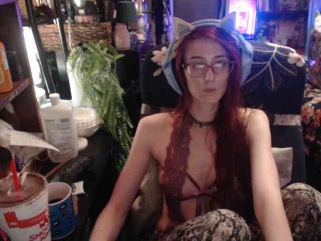 pussyxpaladin webcam