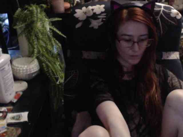 pussyxpaladin webcam