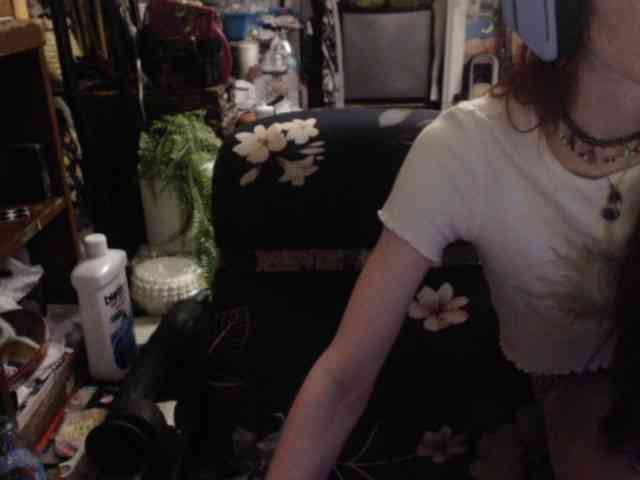 pussyxpaladin webcam