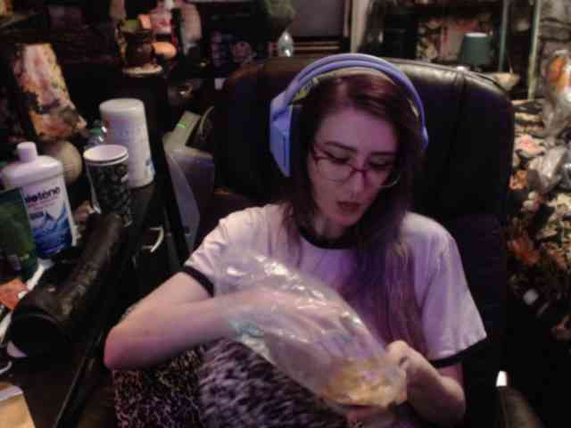 pussyxpaladin webcam