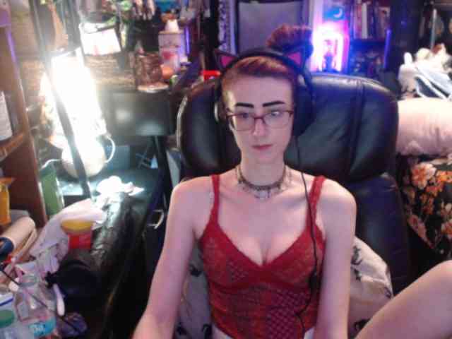 pussyxpaladin