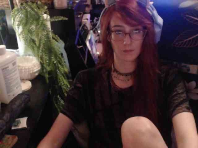 pussyxpaladin webcam