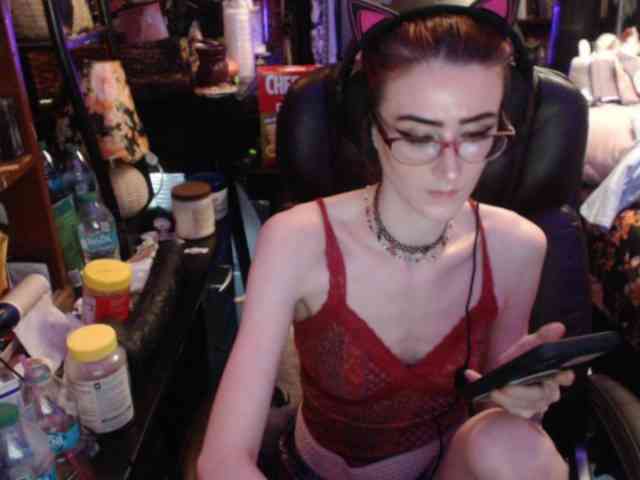 pussyxpaladin