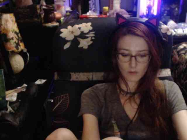 pussyxpaladin
