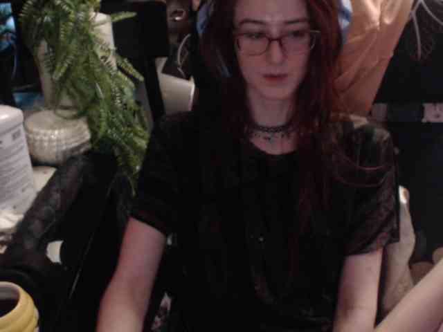 pussyxpaladin webcam