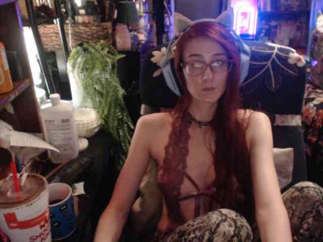 pussyxpaladin webcam