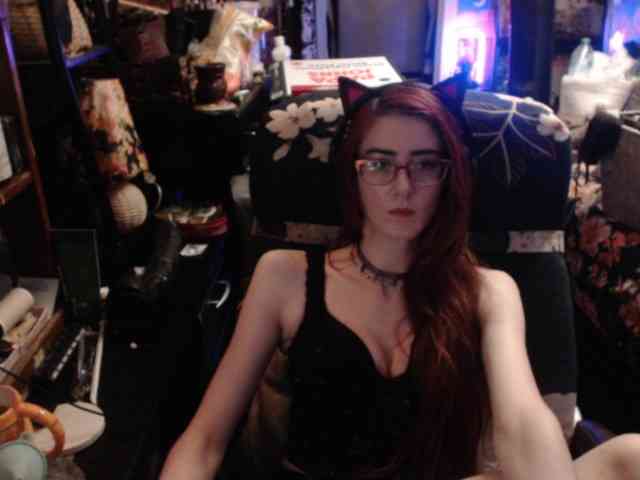 pussyxpaladin