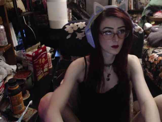 pussyxpaladin webcam