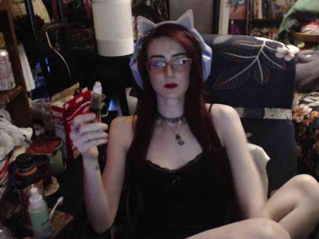 pussyxpaladin