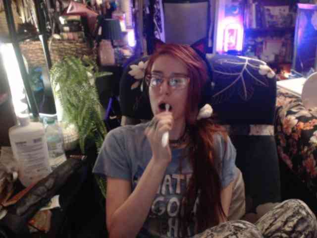 pussyxpaladin webcam