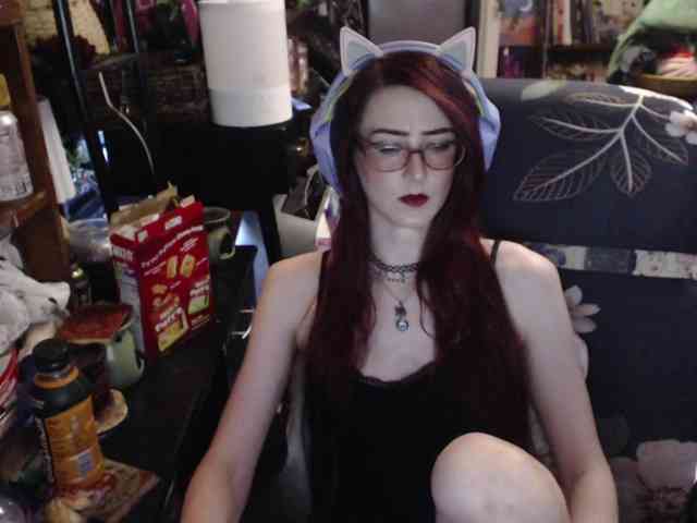 pussyxpaladin