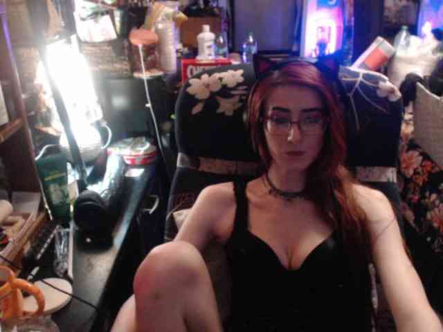 pussyxpaladin