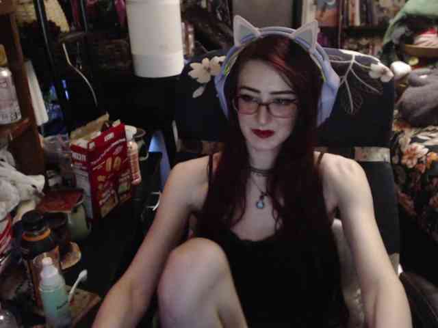 pussyxpaladin webcam