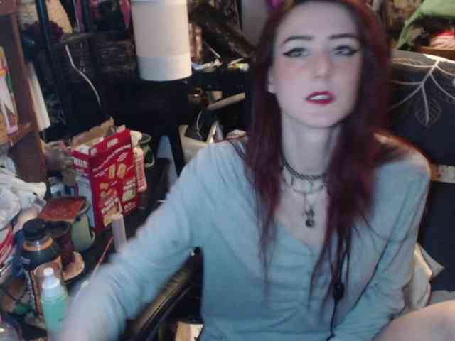 pussyxpaladin webcam