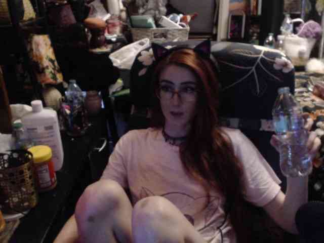 pussyxpaladin webcam