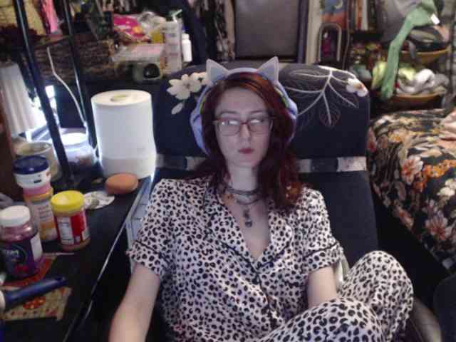 pussyxpaladin