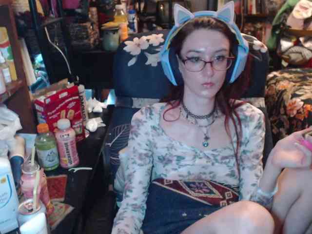 pussyxpaladin webcam