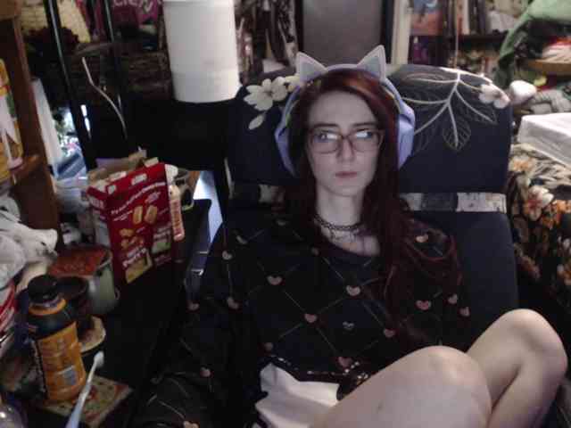 pussyxpaladin webcam