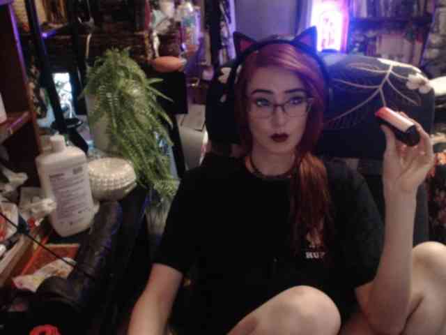 pussyxpaladin