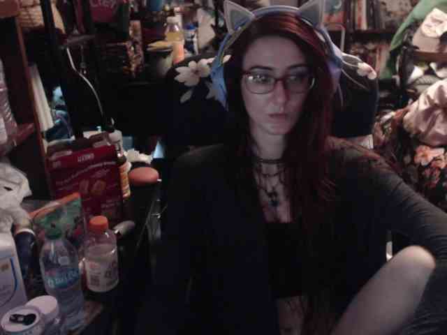 pussyxpaladin webcam