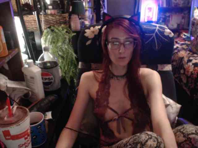 pussyxpaladin webcam