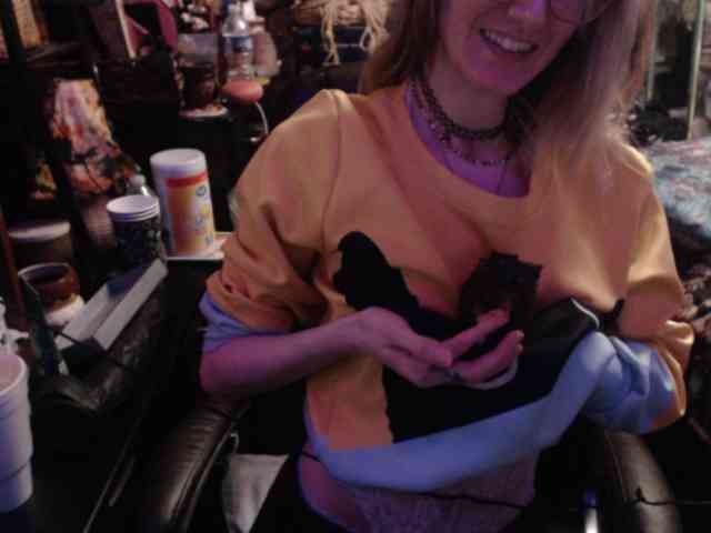pussyxpaladin webcam