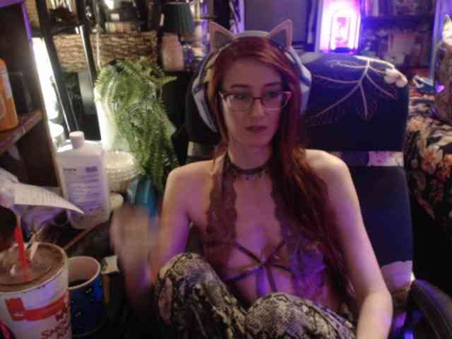 pussyxpaladin webcam