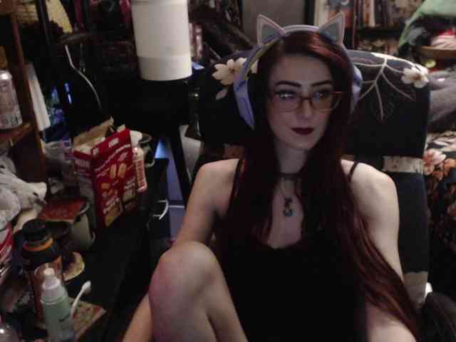 pussyxpaladin webcam