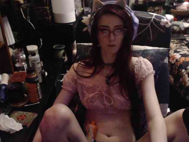 pussyxpaladin