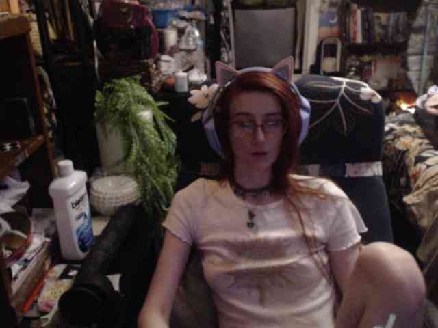 pussyxpaladin webcam